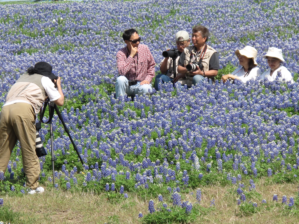 Family Photos in Bluebonnets