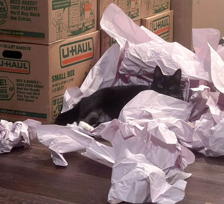 Why Does Moving Take So Long?